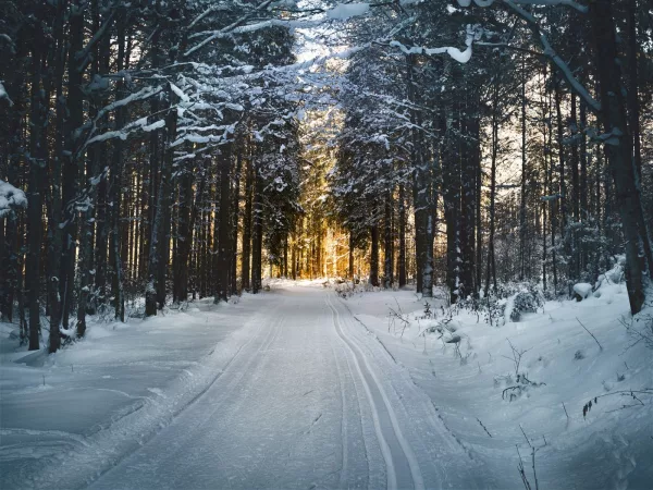 Voiture sur une route enneigée illustrant la préparation hivernale